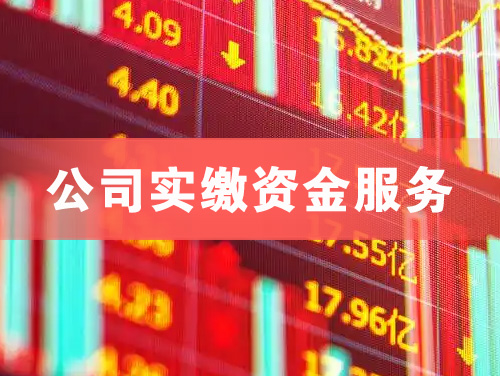 朝阳公司实缴资金服务